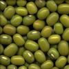 Mung bean