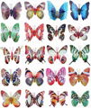 Luminous Butterfly Fridge Magnet