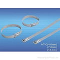 Stainless Steel Cable Ties 1