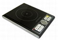 induction cooker 2