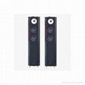 Home cinema system-front speaker 1