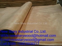 Linyi Tianxiang Wood Co.,Ltd.