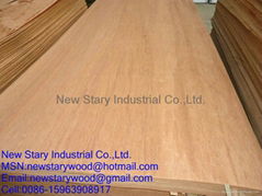 Rotary cut veneer