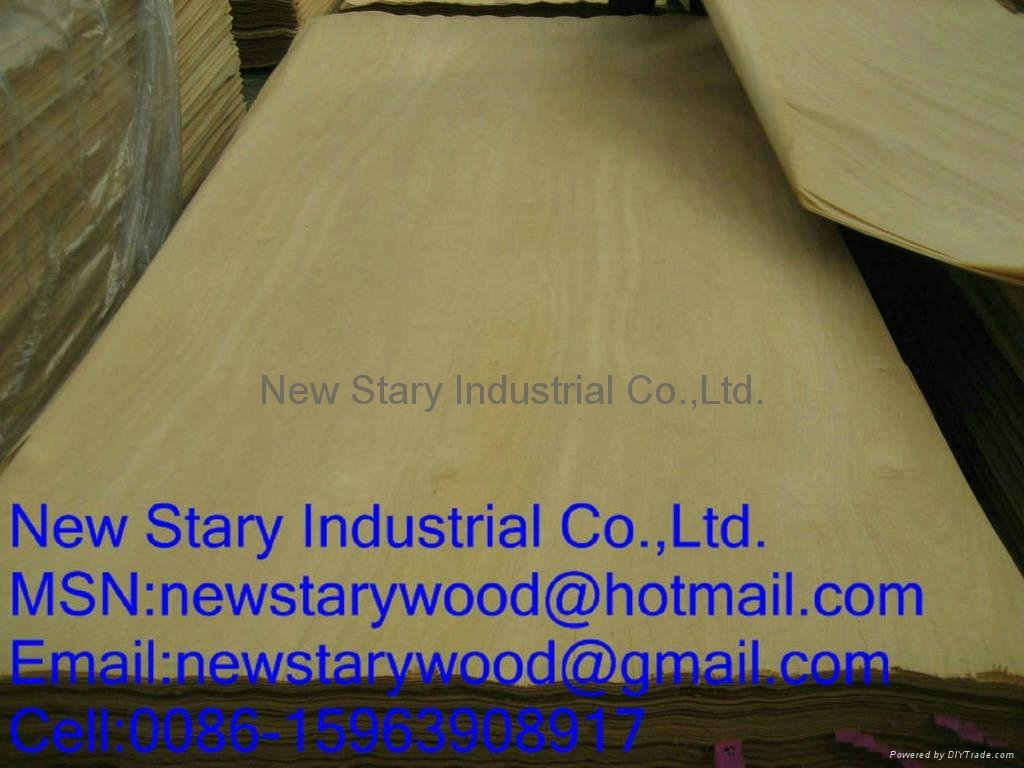 hardwood veneer for plywood 2