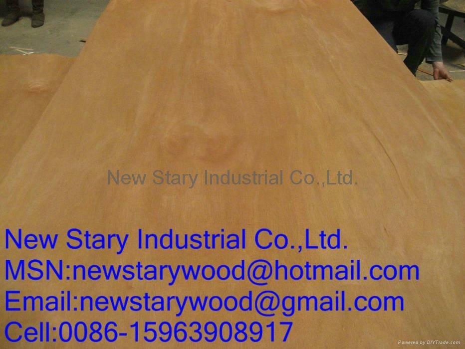 hardwood veneer for plywood 3