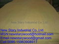 rotary basswood veneer