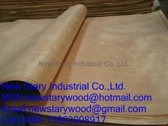 Rotary cut okoume veneer for plywood 