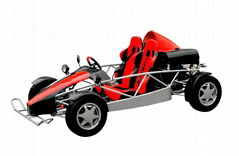 go racing kart with EEC approved