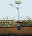 solar street light