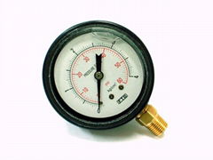 ABS Case Pressure Gauges