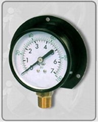 General Purpose Pressure Gauges