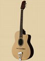 Accoustic Guitar