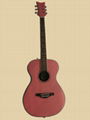 Accoustic Guitar 1