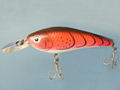 fishing lure 1