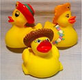 rubber duck 2