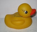 rubber duck 2