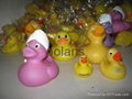 rubber duck 2