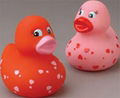 rubber duck 1