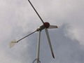 1000W wind turbine