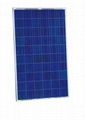 Poly solar module 240w -245w 25w