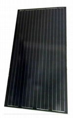 MONO SOLAR  MODULE 250W BLACK