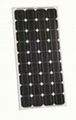 SOLAR  MODULE  MONO 100W