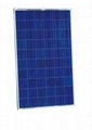 SOLAR PANEL 240w -245w 250w  1