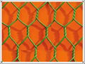 Hexagonal Wire Netting