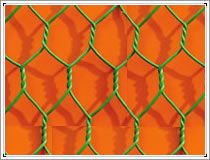 Hexagonal Wire Netting