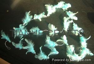 feather garland