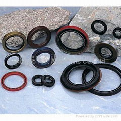 Oil Seals