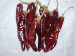 yidu red dried chilli