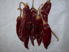 jinta dried chilli