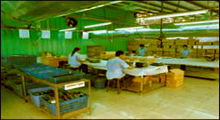 Manufacture and Inspection Supervising