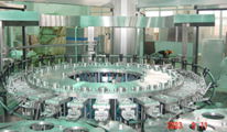 High-Speed Water Finglling Production Line 2