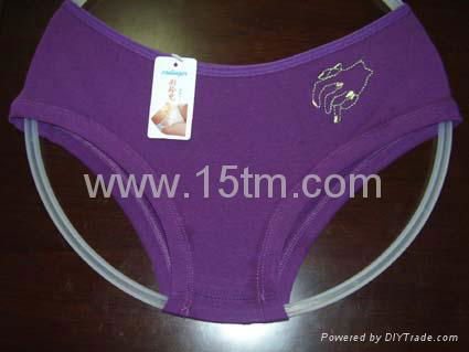 Women Sex Underwear (lady's fashion briefs) 2