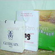 Pp Non-Woven Shopping Bag & Paper Gift Bag 2