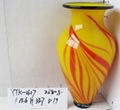 Glass Vase 5