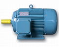 Electric motor 1