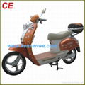 CE electric bike 1