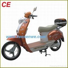 CE electric bike