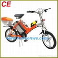 CE Electric Bike