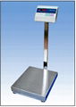 Electronic Platform Scale