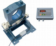 Lifting Weight Limiter