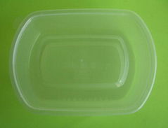 plastic lunch box