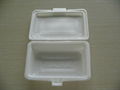 plastic lunch box 1