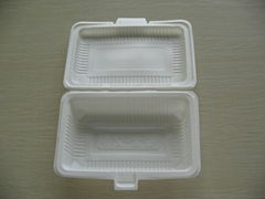 plastic lunch box