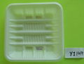 plastic tray 2