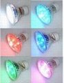 LED Cup Lamp 1