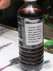 Tannic Acid